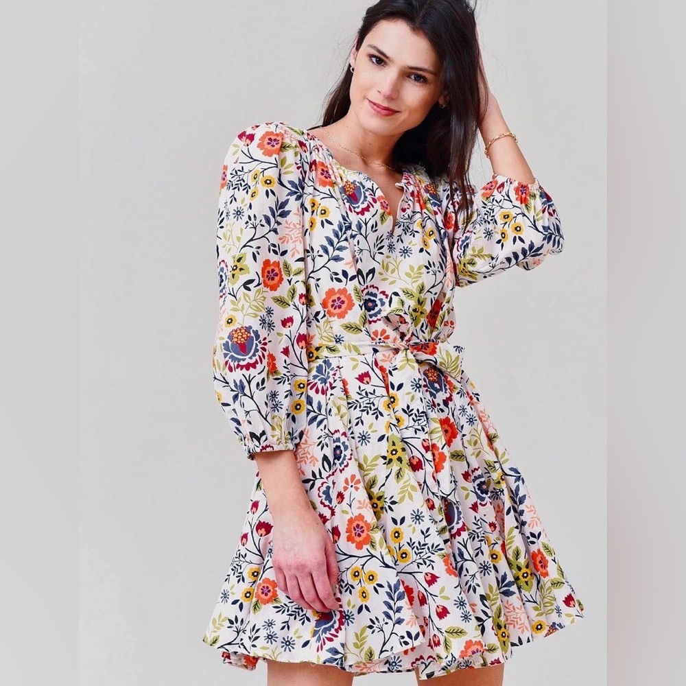 Anthropologie Velvet by Graham & Spencer Keelin Floral Mini Dress Meadow L